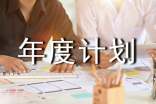 實用的年度計劃范文集合5篇