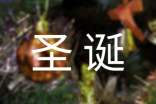 圣誕禮物的作文經(jīng)典(10篇)