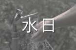 世界水日活動方案(通用5篇)