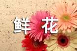 關(guān)于鮮花作文