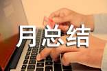 月總結(jié)報告模板