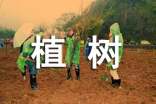 植樹-記事作文