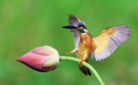 �����]�����B�̰���ƪ