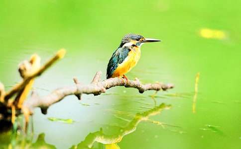 �P�ڴ��B�̰�