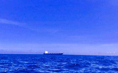 ���x������600�ְ�ƪ