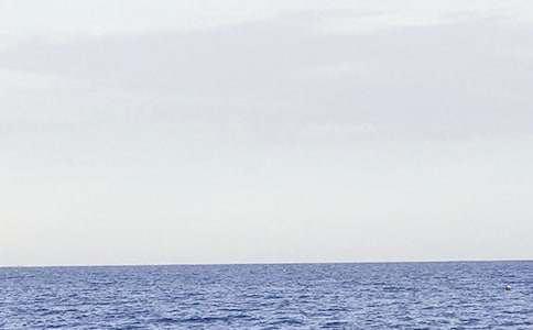 �����x������������300����ƪ