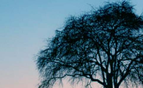 ��䋌���̰�15ƪ