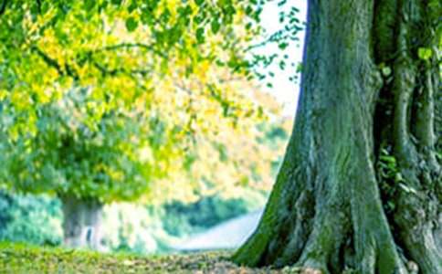 [��(y��u)��]�����������15ƪ