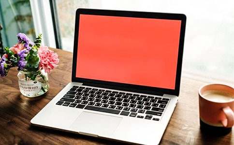 ���P(gu��n)��X��ͬ��������12ƪ