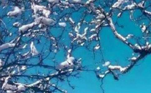 ����Ĺ��³�������