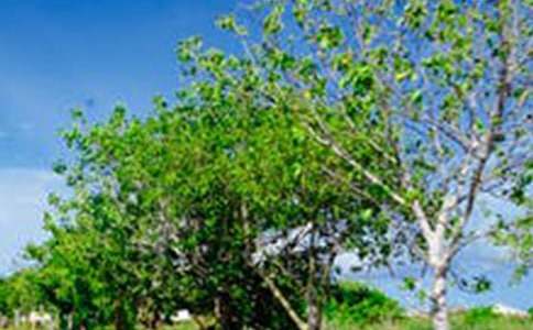 �������L������500��[��(y��u)��15ƪ]