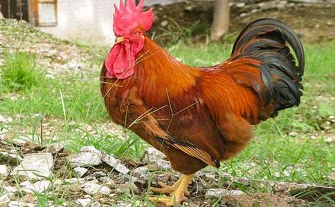 �����x�����u�ڵĹ��u�̰�3ƪ