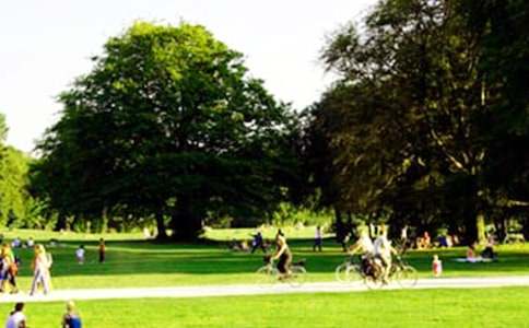 �����A��С�W���꼉���@������ƪ