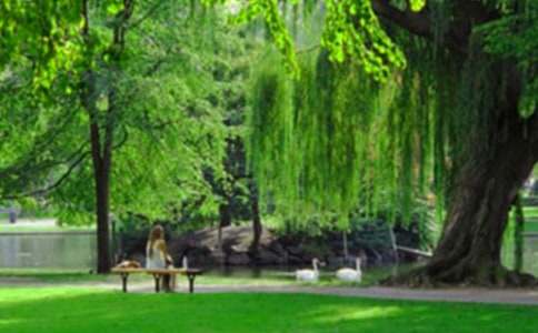 �����]��С�W(xu��)���꼉���@���ąR����ƪ