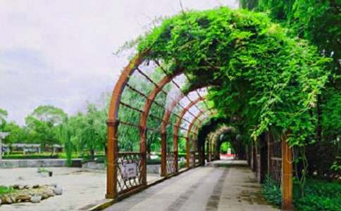 С�W(xu��)���꼉(j��)���ģ������Ĺ��@10ƪ