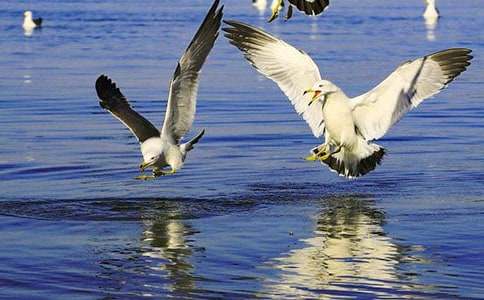 �y���ĺ��t�u֮��-�P(gu��n)���y������