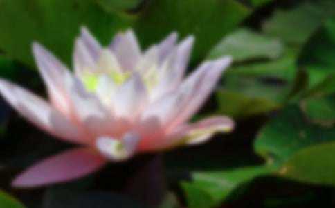 �ɻ�_С�W(xu��)�����꼉����