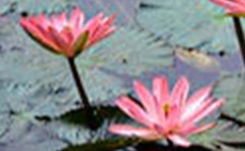 �ɻ��ɻ��וr�_�̰�