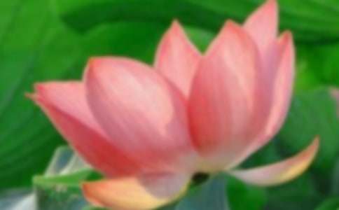 �ɻ����g(sh��)�̰�