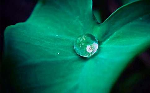 ���P(gu��n)�����~�A�A���̰�ģ���\��5ƪ