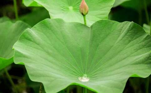 �����~�A�A���̰���(y��u)��