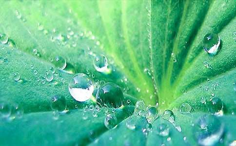 ���x�����~�A�A���̰��ϼ���ƪ