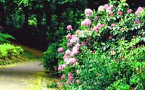 С�����g(sh��)�����Ļ��@�̰�