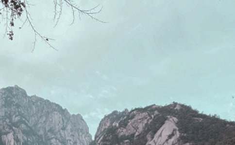 �Sɽһ�����ЌW(xu��)������6ƪ