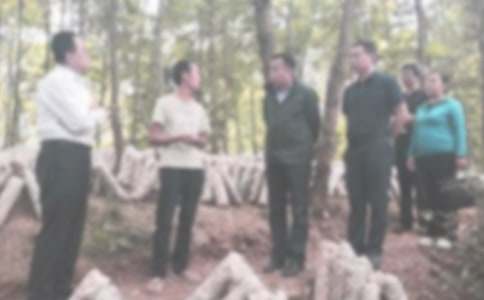 �o�z�����˹���Ӌ��