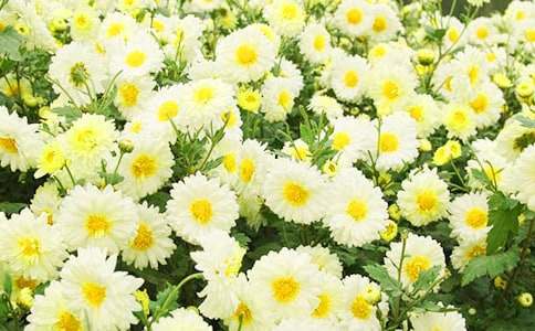 �ջ�С�W(xu��)���꼉����