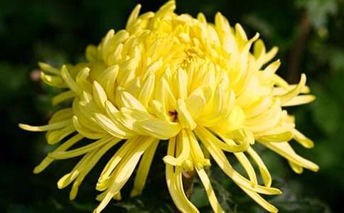 ���ջ����ЌW(xu��)������