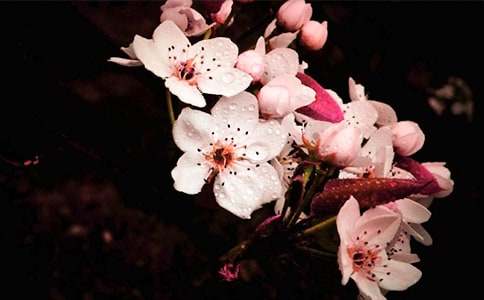 �滨��(y��u)������600�֣����x63ƪ��