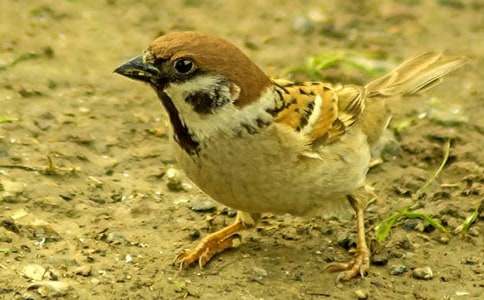 С��ȸ�̰��\��6ƪ