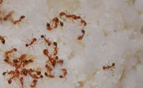 �^��Λρ�Ľ̰�