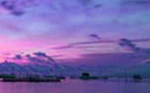 С�W(xu��)�����꼉�l(xi��ng)����������