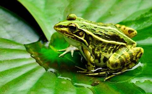 �w�����옷��С����_�а�̰�