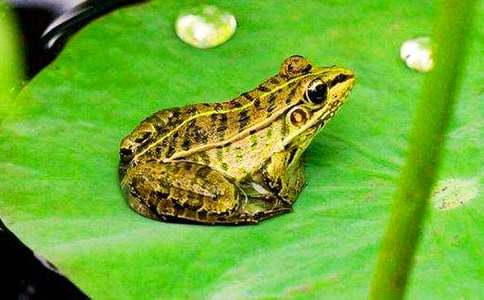 ��С�����Ҽҡ��̰��R��7ƪ