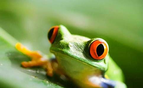 С�W(xu��)�����o(h��)���ܵ����ġ����A��