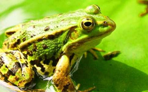 С�W(xu��)�����o(h��)���ܵ�����