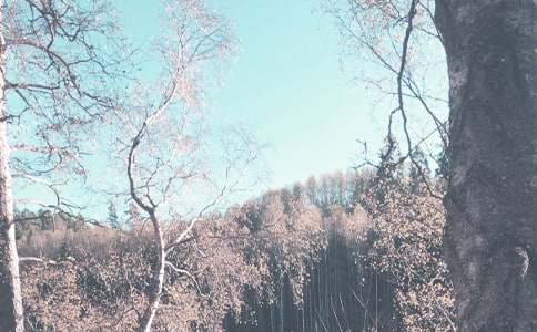 С�W(xu��)�����＾����Ӌ(j��)���ϼ�6ƪ