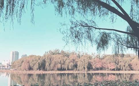 С���＾��ȫ�������Y(ji��)