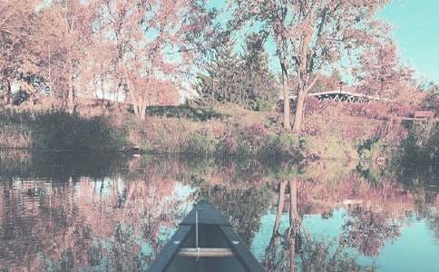 С�W(xu��)�＾�W(xu��)�ڵ�������Ӌ(j��)��