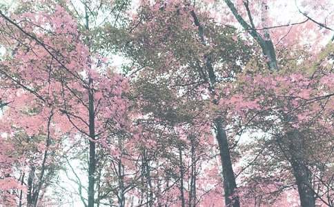 2022���＾���༉(j��)����Ӌ(j��)��