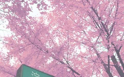 С�W(xu��)�＾��ȫ����Ӌ��ͨ��