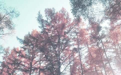 С�W(xu��)�����＾����Ӌ(j��)���R��7ƪ