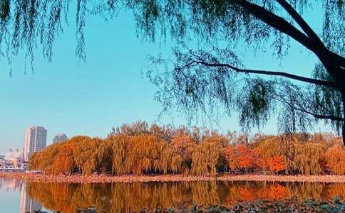 ��(sh��)�õ���������600��50ƪ