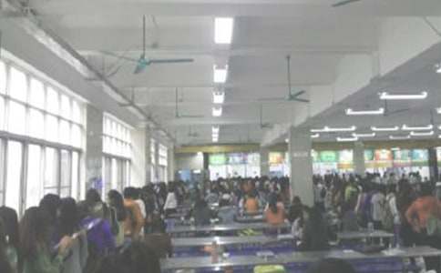 ʳ���l(w��i)�������ƶȡ����T��