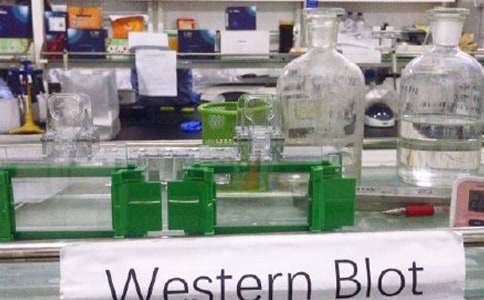 ����(y��u)������Ұ�ȫ�����ƶ�15ƪ