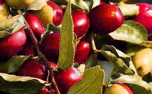 �Ґ۳Ե�ˮ���̰��ϼ�8ƪ