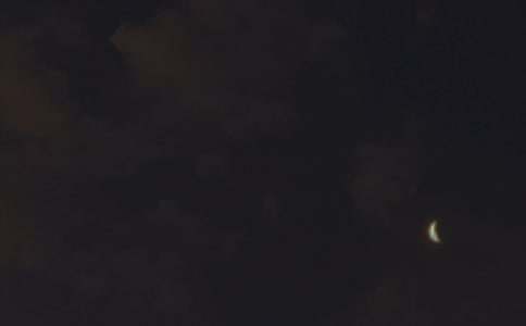 ˯ǰһ��Ԓů������